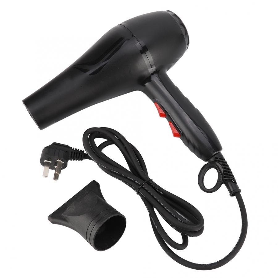 High Power Pet Dog Electric Hair Dryer Silent Puppy Large Dogs Cat Hairdryer 220V Hair Dryer