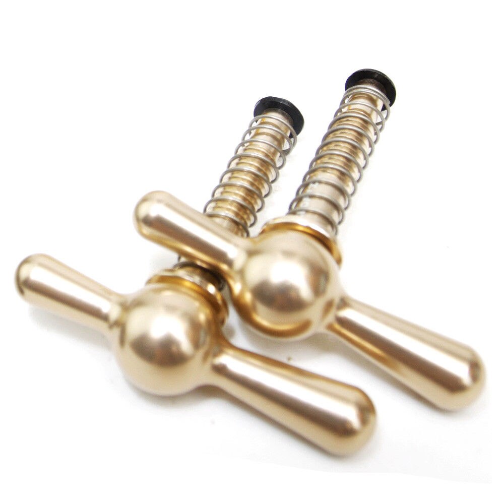 TWTOPSE Cycling Bike Magnetic Hinge Clamp Plate For Brompton Folding Bike Bicycle C Clamp Plate Lightweight 31.8g Aluminum Alloy: Champagne Lever