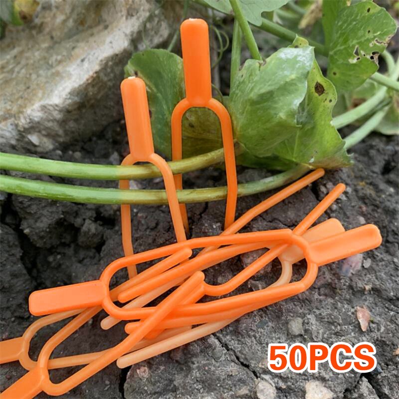 Plastic Plant Clips Tuin Voor Bevestiging Bevestiging Armatuur Klem Aardbei Vork Plant Ondersteuning Tuingereedschap