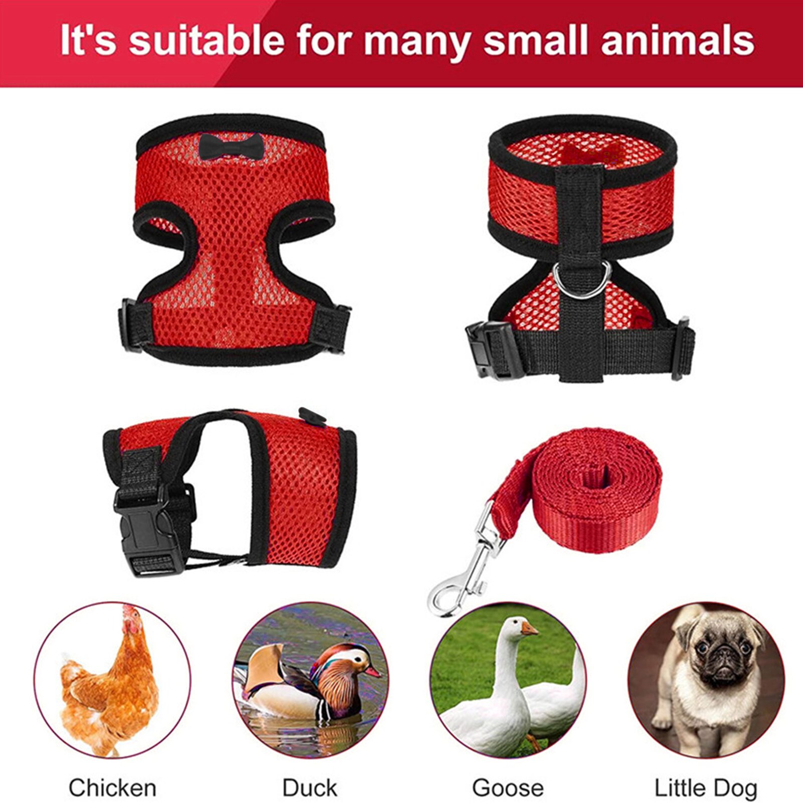 Harnais de poulet réglable, taille de poule avec laisse assortie, gilet élastique et confortable, respirant pour poulet canard chien chat