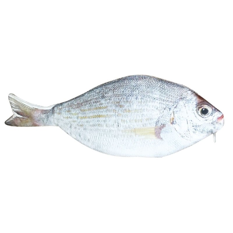 Fish shaped pencil bag pencil case box fish school pen case originality School White