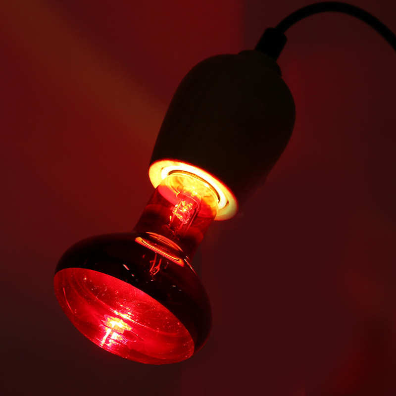 Infrared Bulb Lizard Infrared Bulb Infrared Bulb R... Grandado