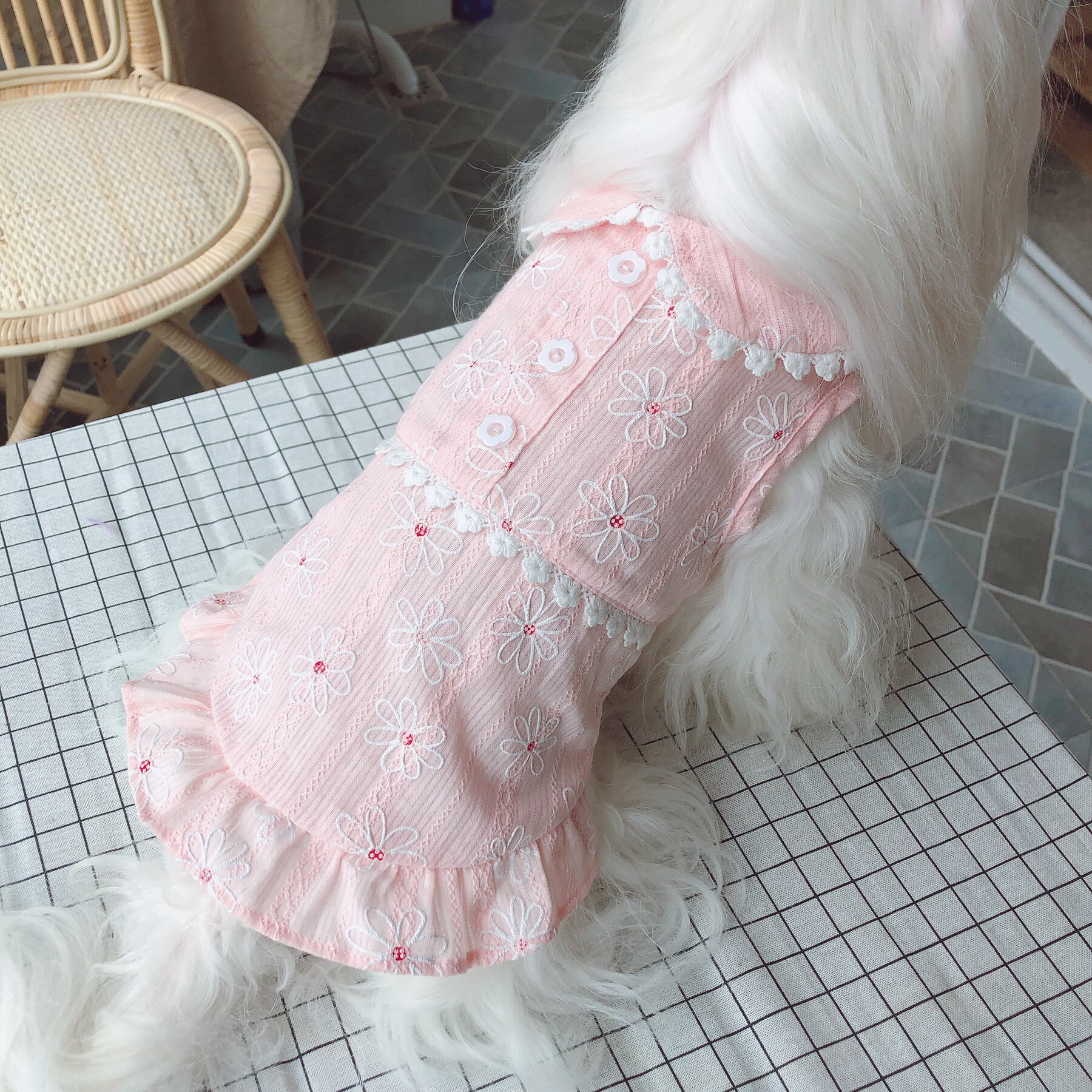 Vestido de verano para mascotas, ropa para perros y gatos, falda, Yorkie, Yorkshire, caniche, bichón, Pomeranian, Schnauzer