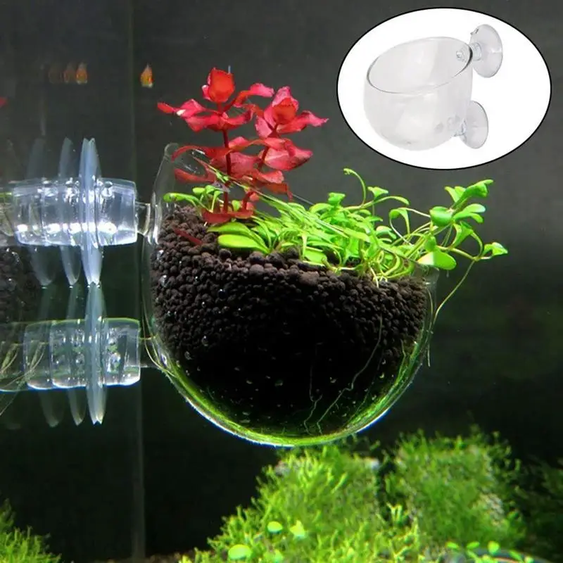Pote de vidro para decoração de aquário, pote de água de bolinhas para berçário de plantas aquáticas, copo cilíndrico, acessórios para aquário