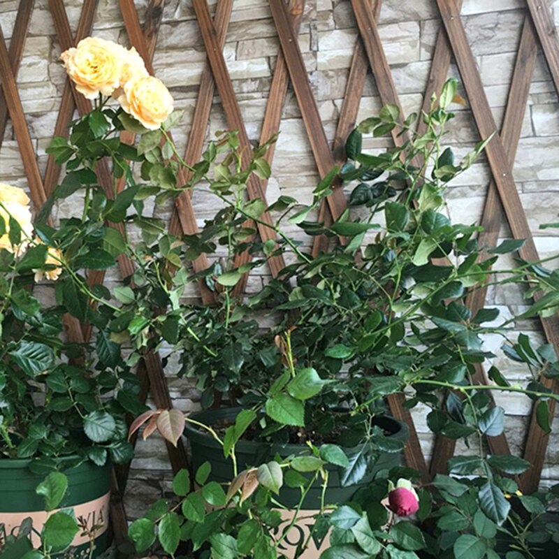 Expanding Wood Garden Wall Fence Panel Plant Climb Trellis Support Decorative Garden Fence Home Yard Decoration