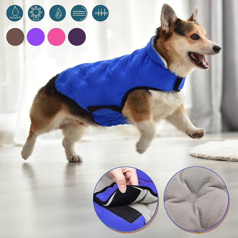 Französisch Bulldogge Korgi Hund Kleidung Mantel Haustier Kleidung Winter Welpen Katze Kleidung Jacke Für Kleine Große Hunde Katzen Weste Ropa perro
