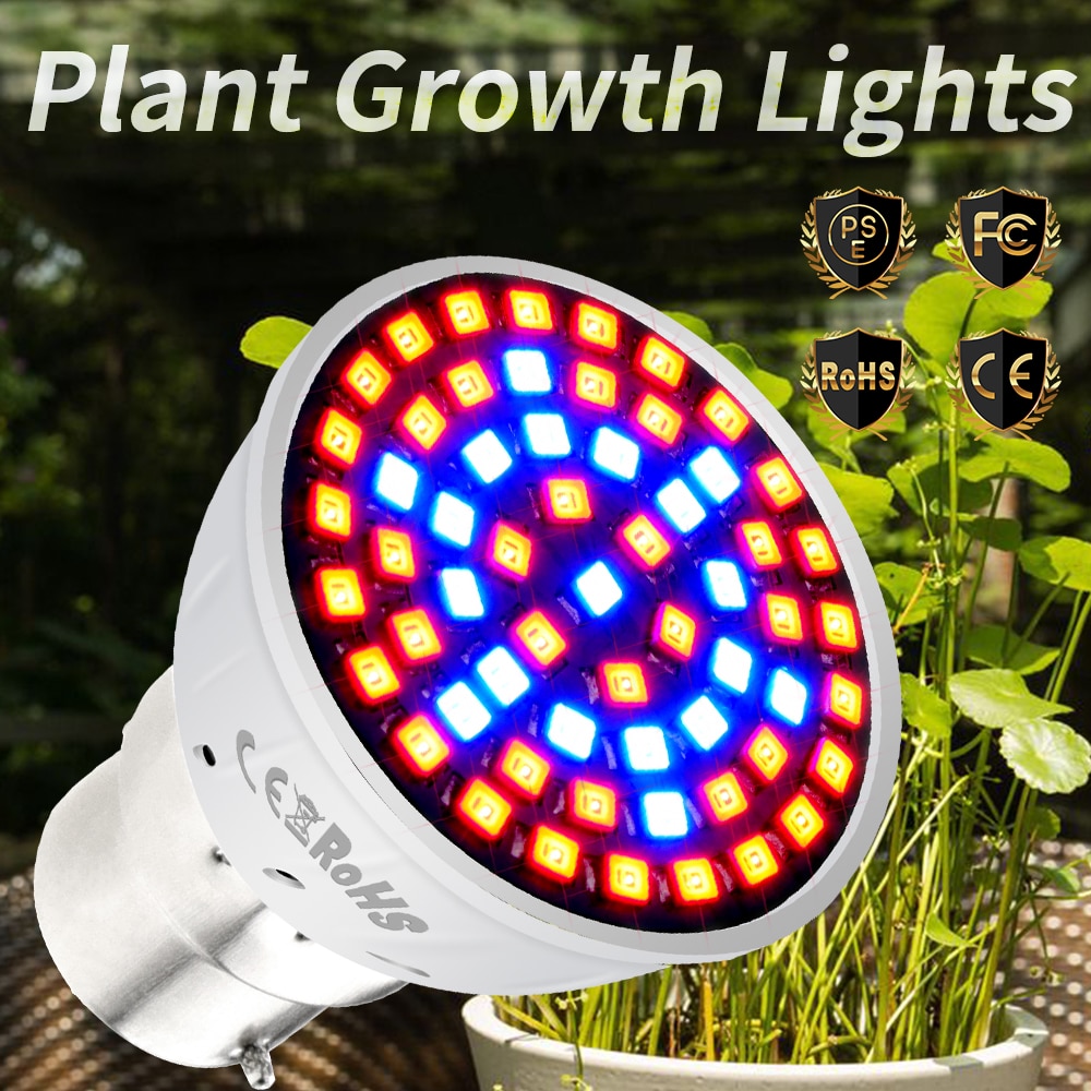 E27 Greenhouse LED Light Grow Tent E14 Hydroponics GU10 Plant Grow Light MR16 Full Spectrum LEDs Bulb B22 Growing LED Phyto Lamp
