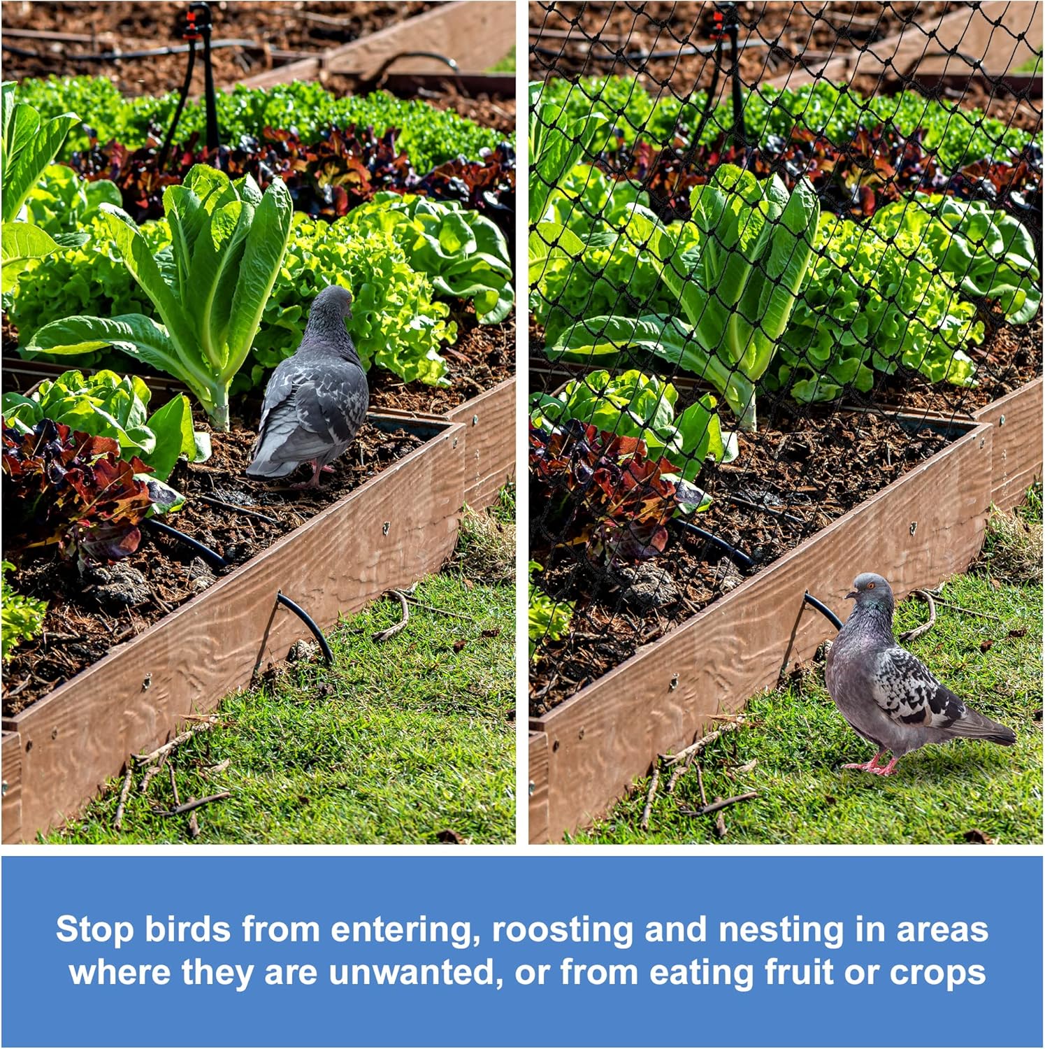 Black Bird Netting-Heavy Duty Anti Bird Deer Protective Net Garden Netting for Fruit Protecion Against Birds, Cat ,Deer and Dogs