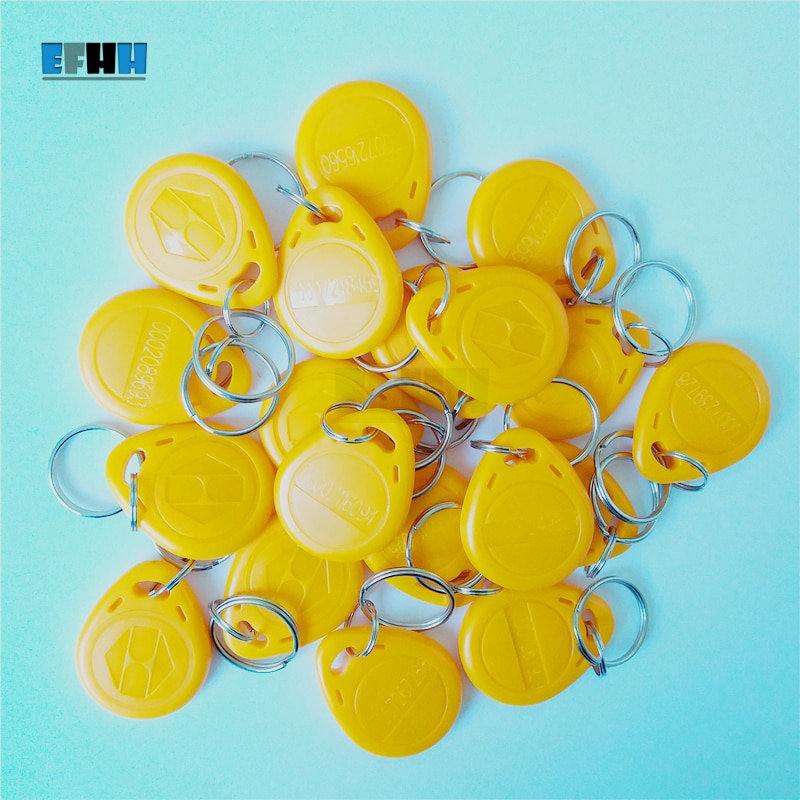 125KHZ TK4100/EM4100 ID Keyfobs RFID Key Tag Read Only Key Ring In Access Control Card