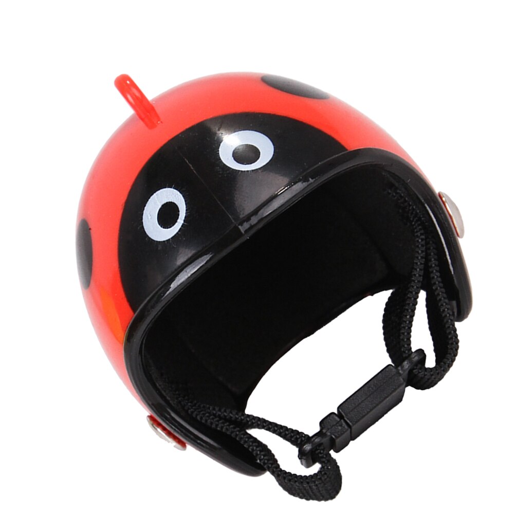 1pc casco per pollo PP accessori divertenti caschi protezione equipaggiamento protettivo per galline per uccelli pulcino per animali domestici