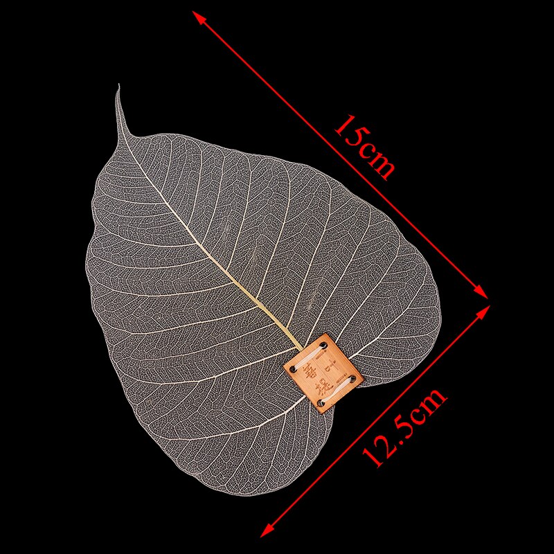 Te sil silke blad te filter blader form bodhi lekkasje te infusere tilgang hul ut bladene personlighet filter