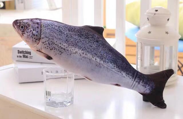 Pack Katzenminze Spielzeug für Katzen Fisch Spielzeug Simulation Plüsch Fisch bilden Spielzeug Puppe Interaktive Haustiere Kissen Kauen Biss trete für katze: toadfish / M