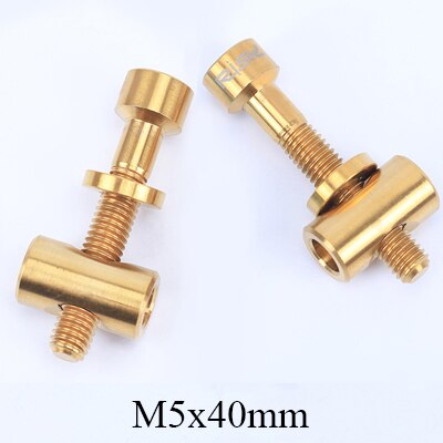 2 pz/lotto RISCHIO M5x30/40 millimetri Reggisella Bullone in Lega di Titanio Thomson Reggisella Bullone Vite Bicicletta Parti Della Bici: M5x40mm d'oro