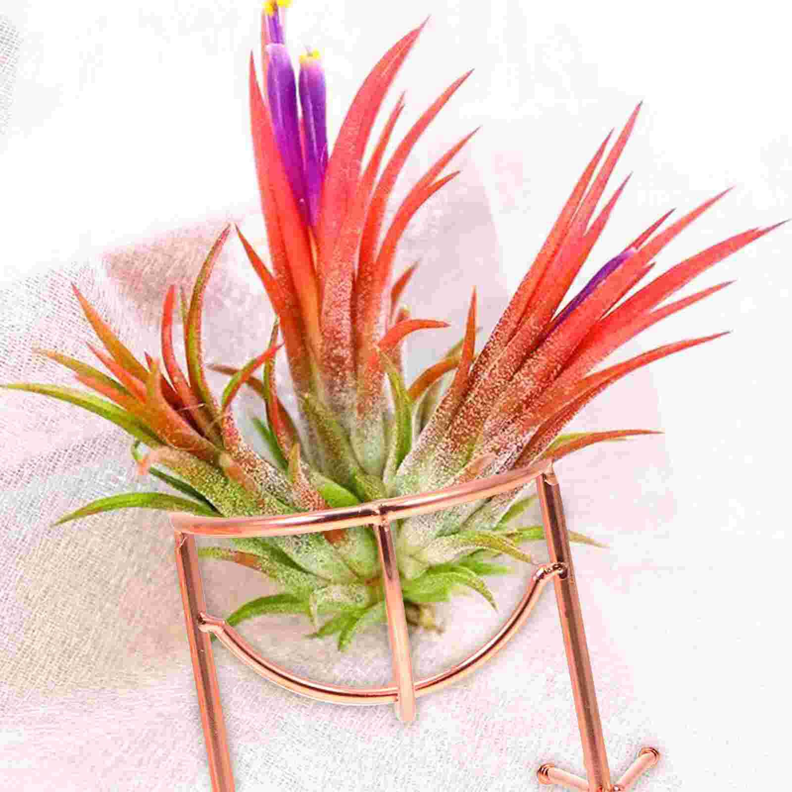 Pcs Multipurpose Plant Houders Kantoor Plant Rekken Bloem Display Stands