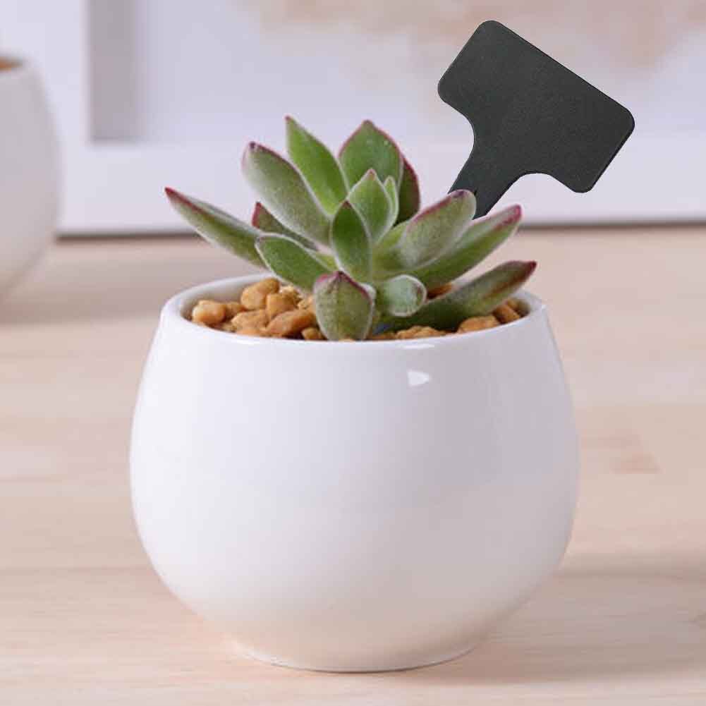 100pcs Grounded Black Waterproof Nursery T Type Fa... – Grandado