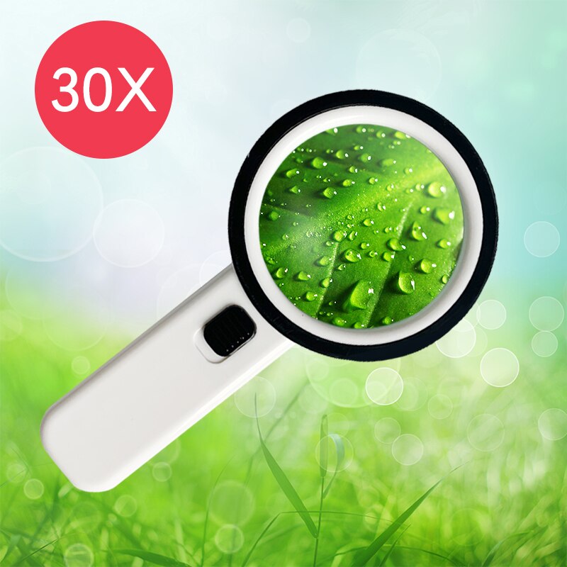 10X Magnifying Glass with Light for Reading Premium Handheld Magnifier with Light for Reading, Exploring, Inspection: 2288-85