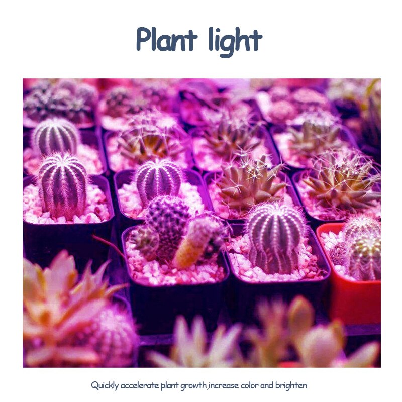 Luz Led para cultivo de plantas led de plástico para plantas, 200 cuentas, foco para plantas, Bombilla para interior, luz de relleno suculenta