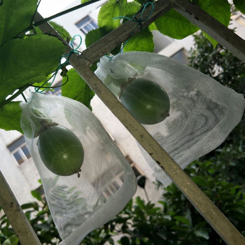 10pcs Multi Size 40Mesh Garden Plant Vegetable Fruit Protect Drawstring Net Bag Against Insect Pest Bird Safe Nettings