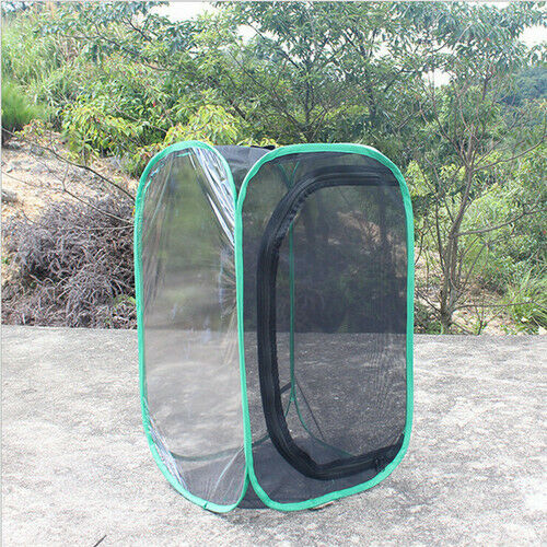 Foldable Habitat Insect Cage Mesh Transparent Surface Portable Zipper: 40x40x60 cm / C