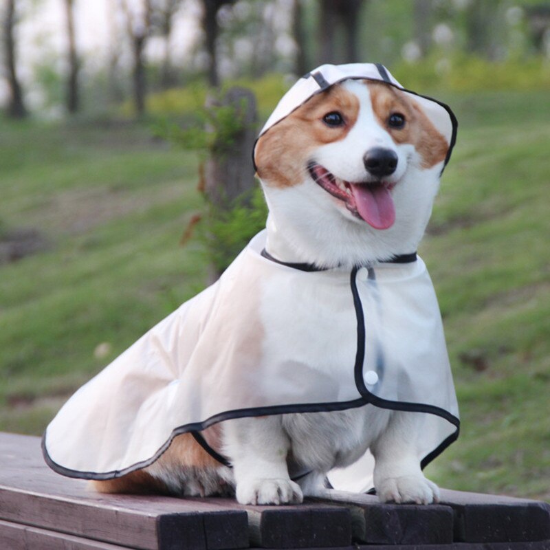 Waterproof Dog Raincoat With Hood Transparent Pet Puppy Cat Dog Rain Coat Cloak Costumes Out Clothes For Small Medium Large Dogs
