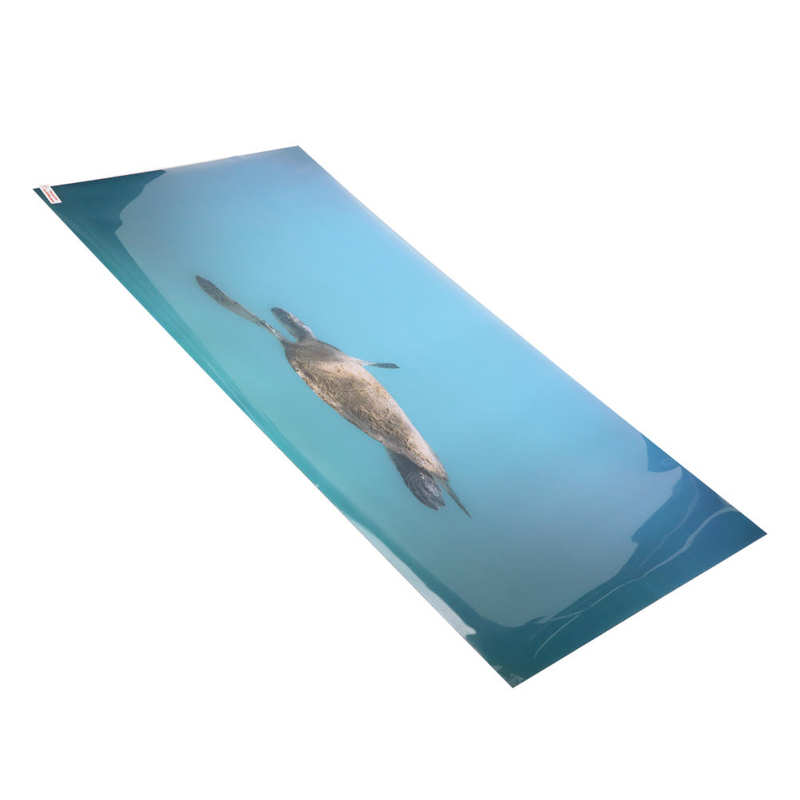 Aquarium Background Paper Fish Tank Decoration Poster Clear Image for Underwater