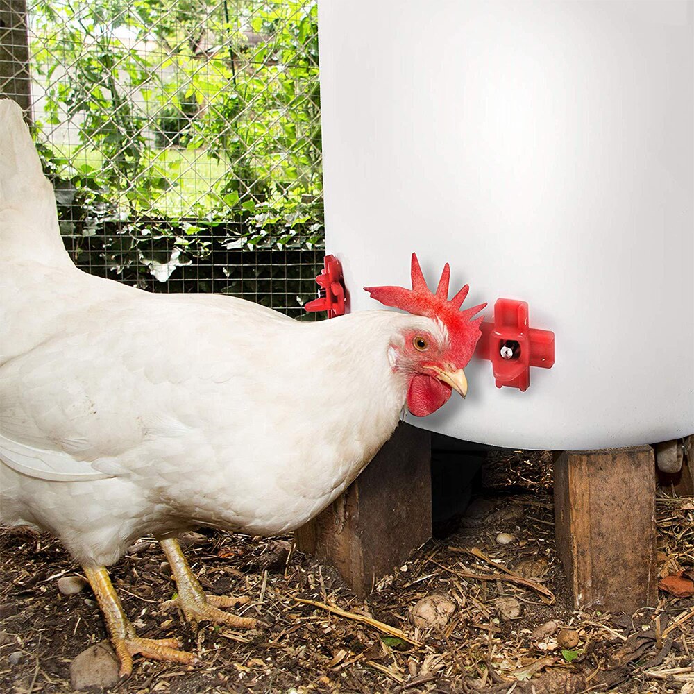 Horizontal Side Mounted Poultry Waterer Automatic Poultry Drinker Waterer For Chicken