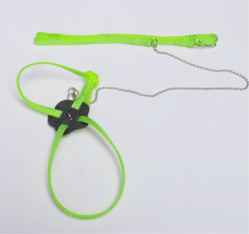Lizard traction rope Pet traction rope with flying rope Parrot squirrel squid rat traction strap