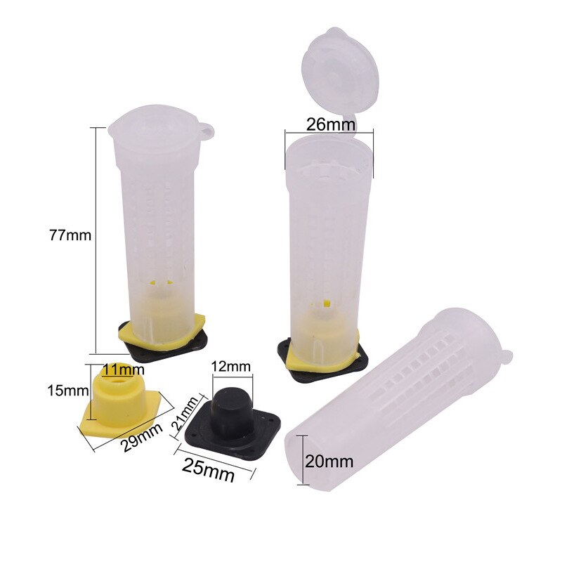 1set bee tools kit queen rearing system complete cupkit box cells protective cover plastic bees equipment cages supplies