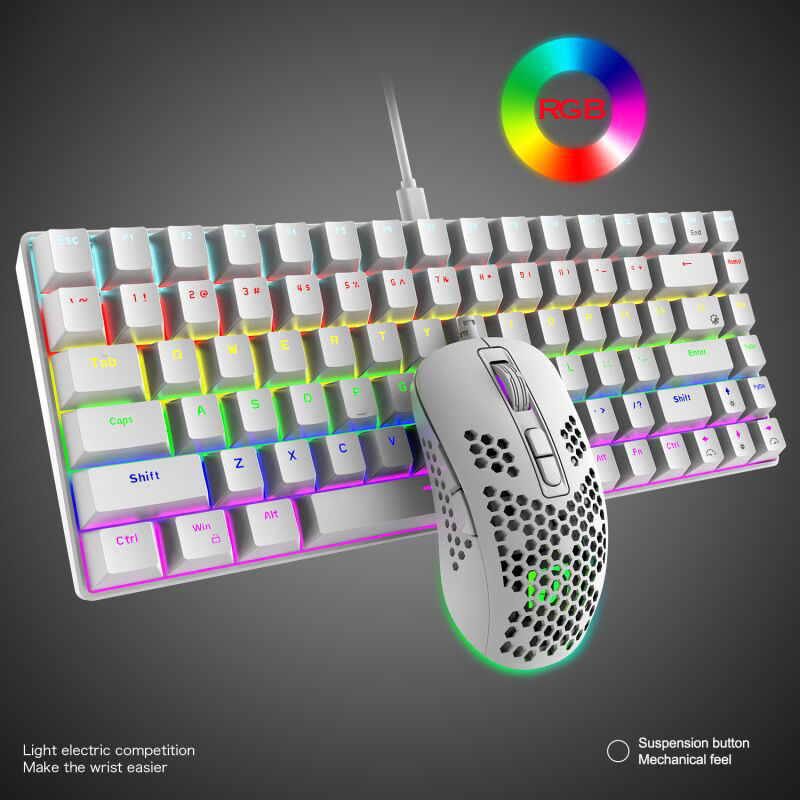 Wired RGB Backlit Gaming Keyboard and Mouse Mechanical Mini Keyboards Ergonomic 6400DPI Mouse for Lenovo/XiaoMi PC Computer: Red Switch white