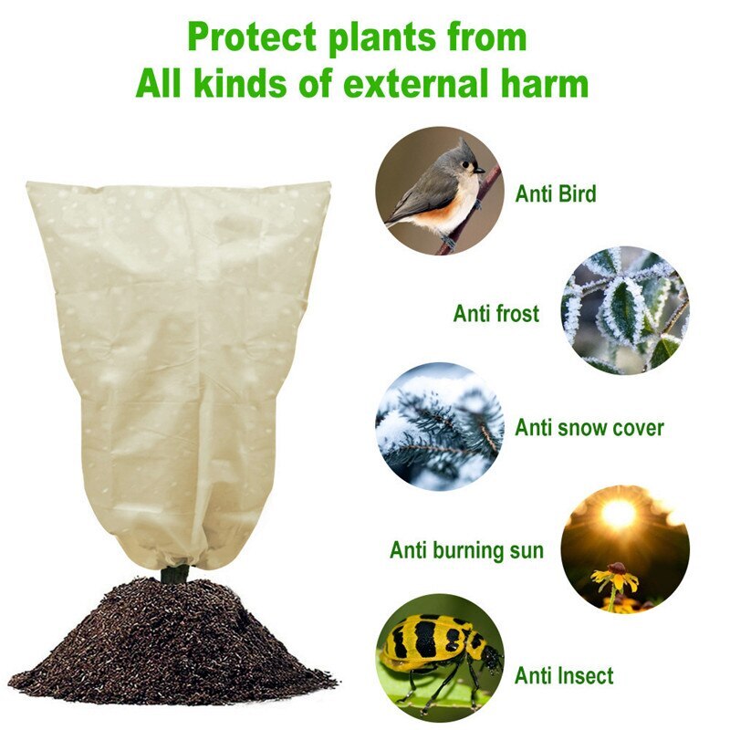 Fundas Protectoras Para Plántulas Cubierta De Campana De Planta Reutilizable Cubiertas De Plantas Transparentes Conectables Para Proteger Semillas De Vegetales De Frost Animal Anggrek Otros