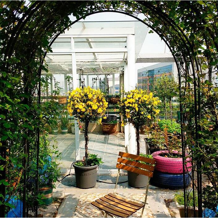 lizak kutego żelaza piłka wiatrak jaśmin roślin kształt piłka wspinaczka rama stojak na kwiaty rattan stojak