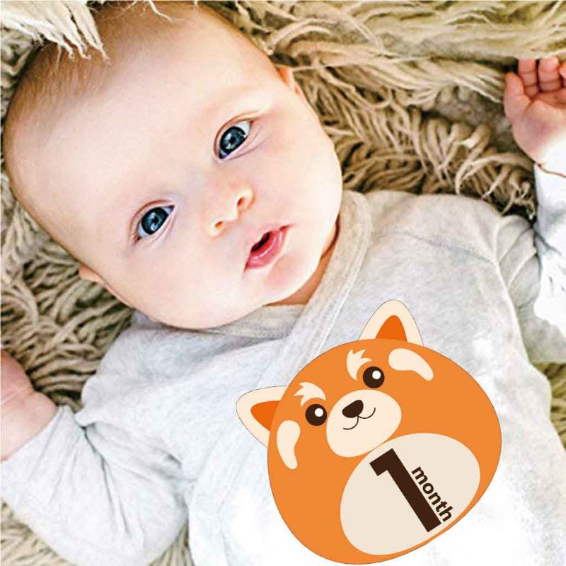 12 Pcs Animal First Year Monthly Milestone Photo Sharing Baby Belly Stickers 1-12 Months J2HD