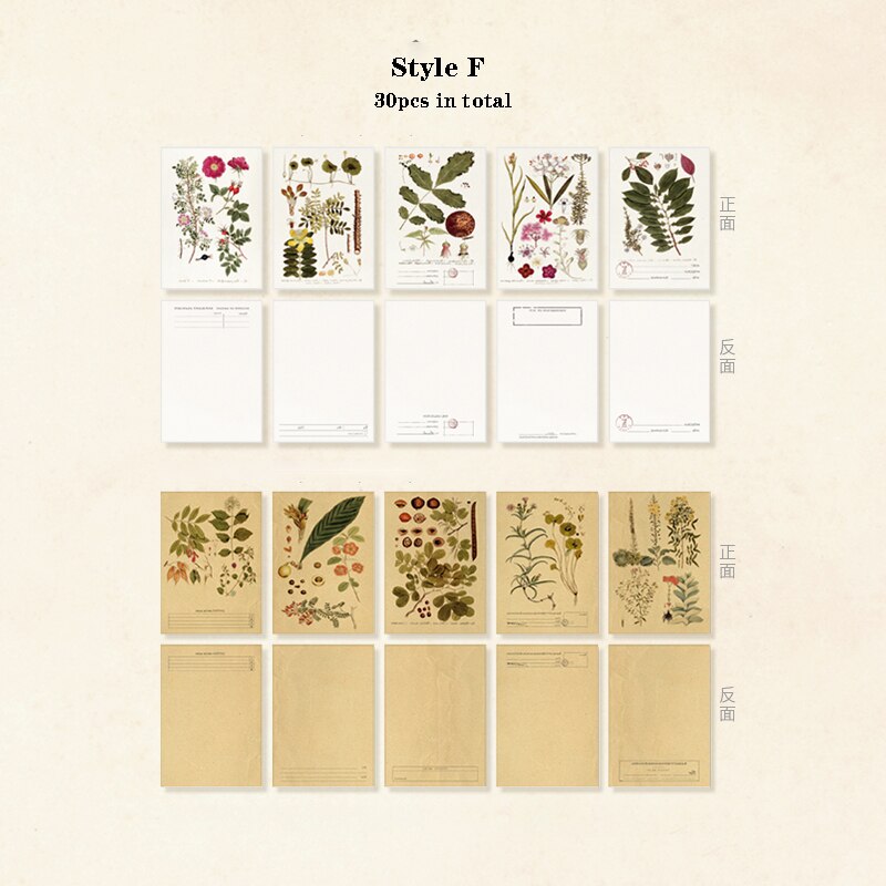 Mr.Paper 30pcs/pack 8 Designs Plant Material Paper Diary Scrapbooking Diary Planner Decorative DIY Craft Paper Stationery: F