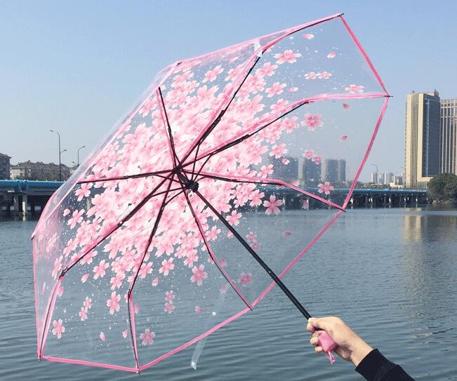 Halvautomatisk til vind kraftig regn kvinder parasol romantisk gennemsigtig klar blomster boble kuppel paraply: Lyserød