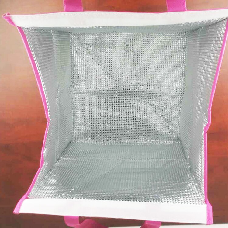 Geïsoleerde Picknick Koeltassen Cake Pizza Lunch Picknick Box Geïsoleerde Cool Handtassen Ice Pack Thermo Draagbare