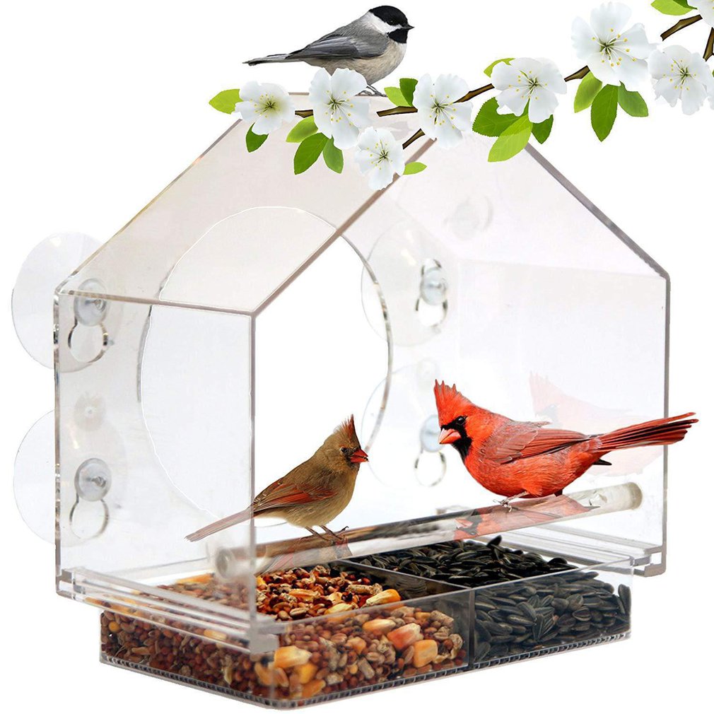 Window Bird Feeders Clear Glass Window Viewing Bird Feed Hotel Table Peanut Hanging Suction For Pet Birds Outdoor