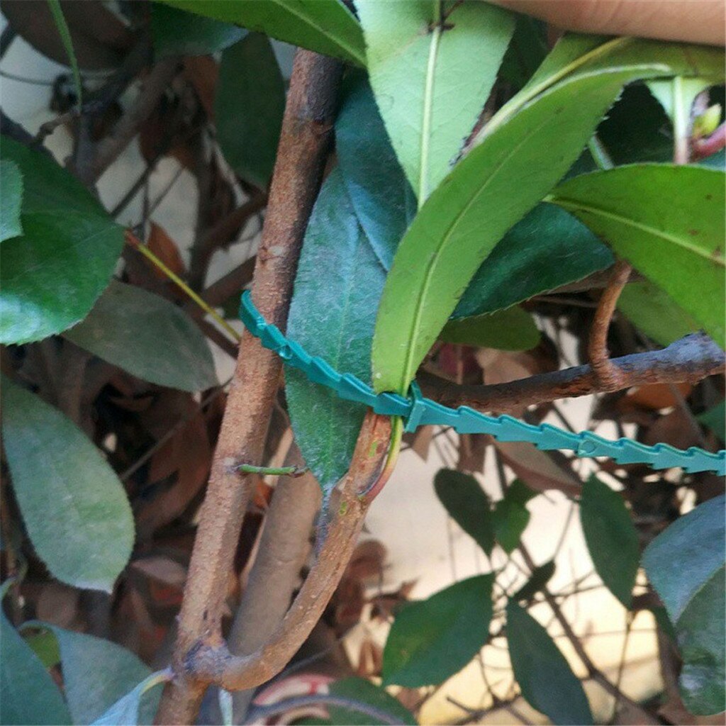 Unids/lote de bridas de plástico para plantas, bridas para cables reutilizables, Kits de cultivo de invernadero para jardín, soporte para escalada de árboles # j2s