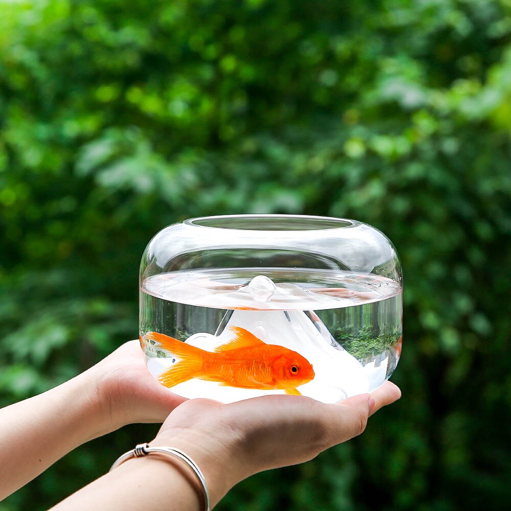 Japanischen stil transparent Glas Schnee Berg Fisch Panzer Schreibtisch Hydrokultur Vase Mikro Landschaft Dekorative Blume