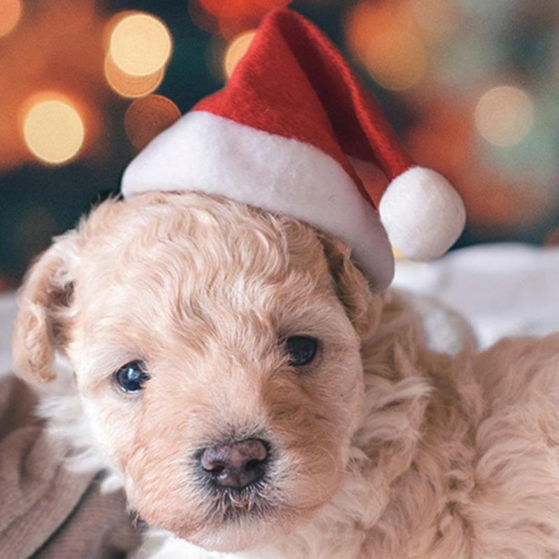 Sombrero de Papá Noel para perros y gatos, gorro de Papá Noel de para disfraz de Mascota de Año , gorro de Gatos de Navidad, suministros de decoración para perro, 1 ud.