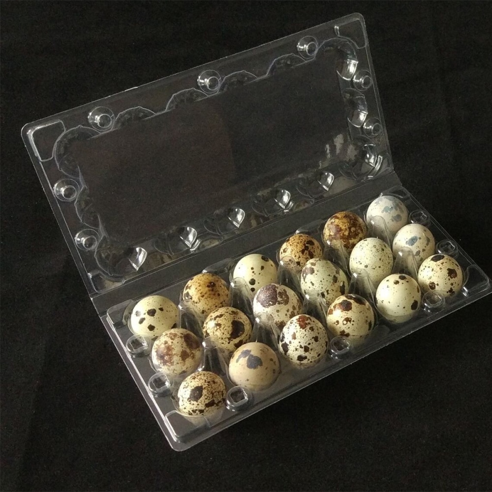 50pcs 18 Grids Quail Egg Carton Storage Container Organizer Disposable Pvc Storage Box Transparent Egg Dispenser Holder for Home