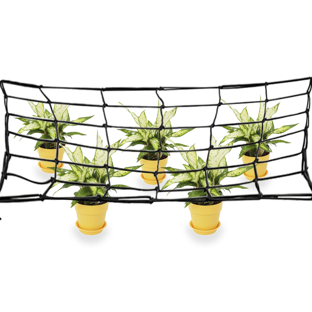 80*80 cm Elastische Rubber Tuin Trellis Netto Tuin Groeiende Tent Ondersteuning Netting voor Bloem Groente Klimmen Wijnstok Planten