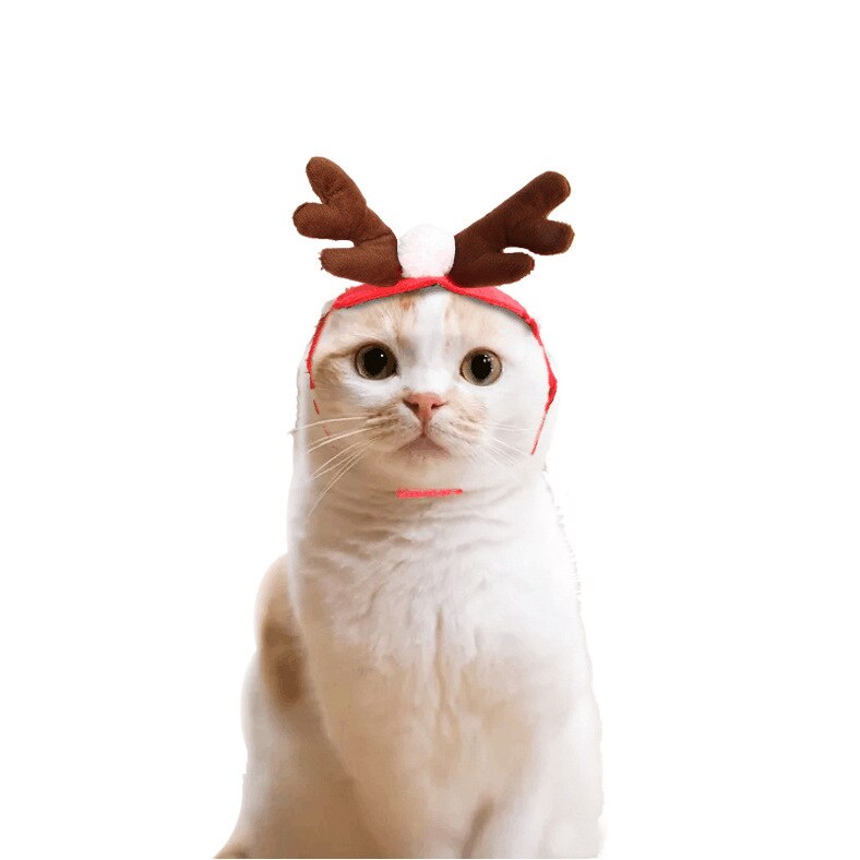 Cão de estimação gato roupas traje chapéu de gato de halloween cachecol terno manto vestir-se ano novo animal de estimação manto roupas de natal maschas 2019: B