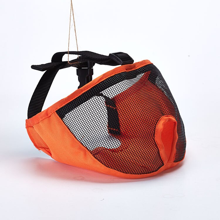 Muselière bouledogue français pour animaux de compagnie, masque pour petit animal domestique, prévention des morsures, panier de souris, respirant, laisse pour chien, fournitures de harnais: orange / S