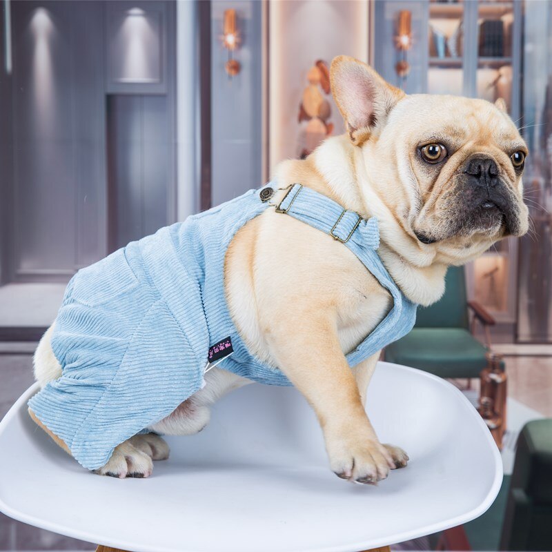 Ropa de perro Bulldog francés, mono de pana para primavera y verano, mono cómodo para perros, ropa para perros: Azul cielo / L