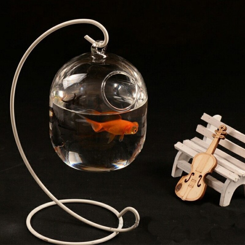 Bouteille transparente suspendue en verre pour Aquarium Pl D0AC, pour Infusion de fleurs