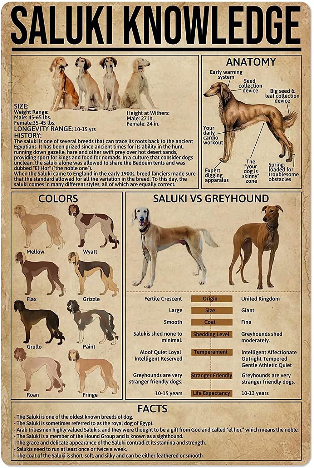 Dog Anatomy Metal Tin Sign Australian Cattle Dog Knowledge Poster Farm School Education Club Garage Wall Decor Plaque 8x12 Inch: St. Bernard / 12x16inch