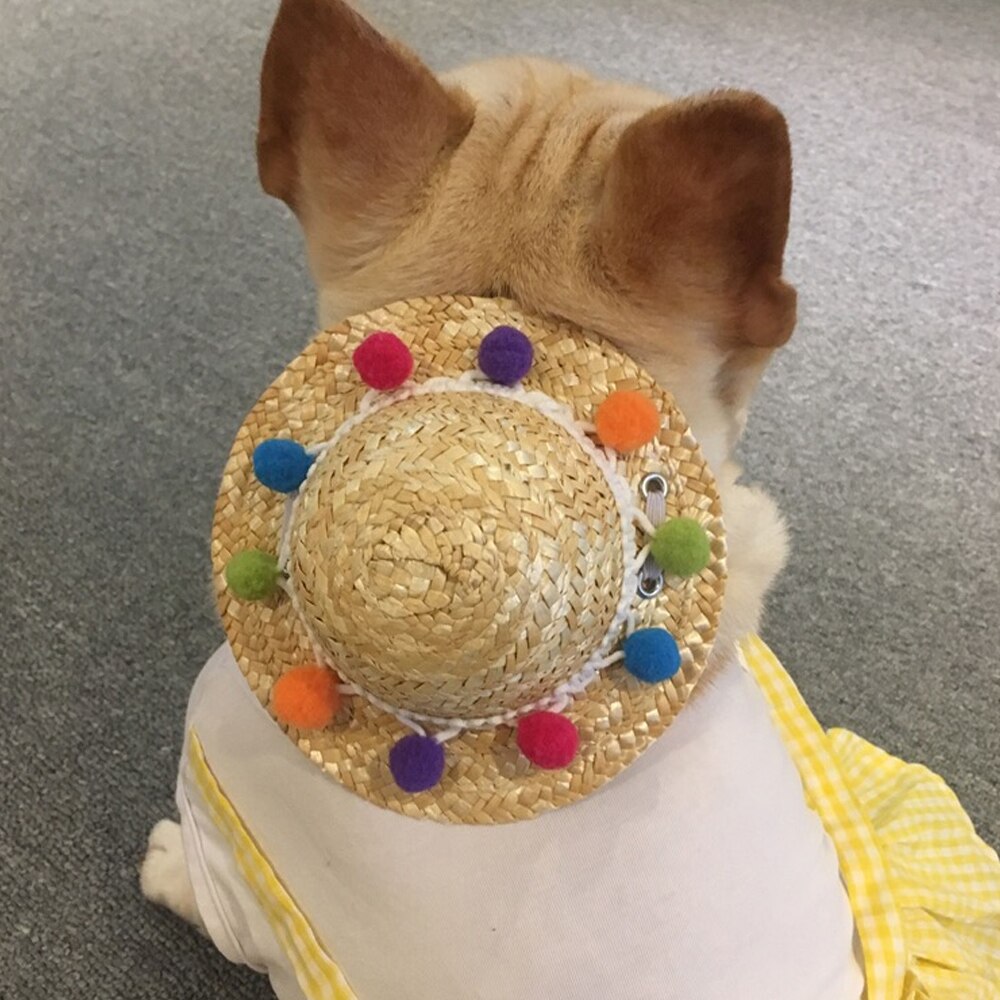 Behogar śmieszne słodkie zwierzęta domowe są słomy tkane kapelusz przeciwsłoneczny z kolorowe kulki dla małych psów kot kotek szczeniak festiwal urodziny impreza dostaw