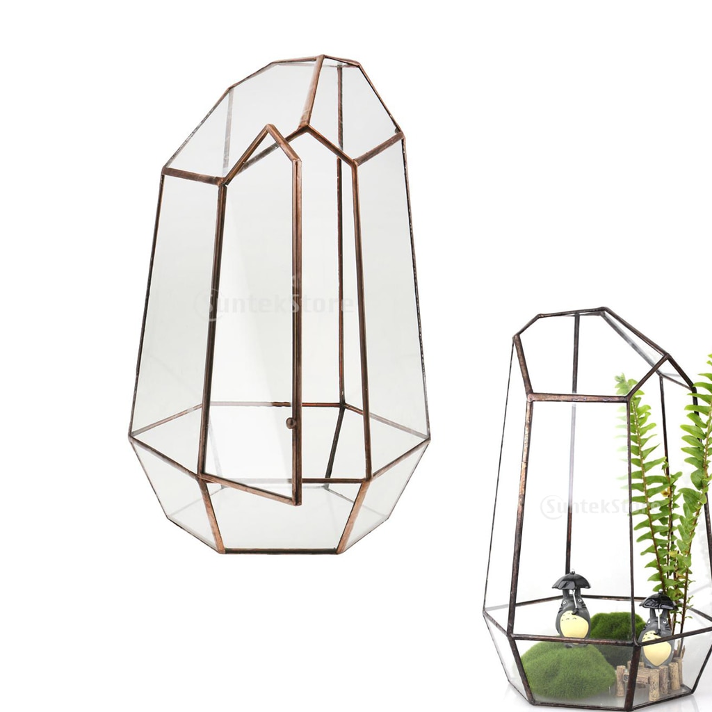19 Cm Hoogte Onregelmatige Glas Geometrische Terrarium Box Tafelblad Vetplant Planter Bloem Moss Fern Pot
