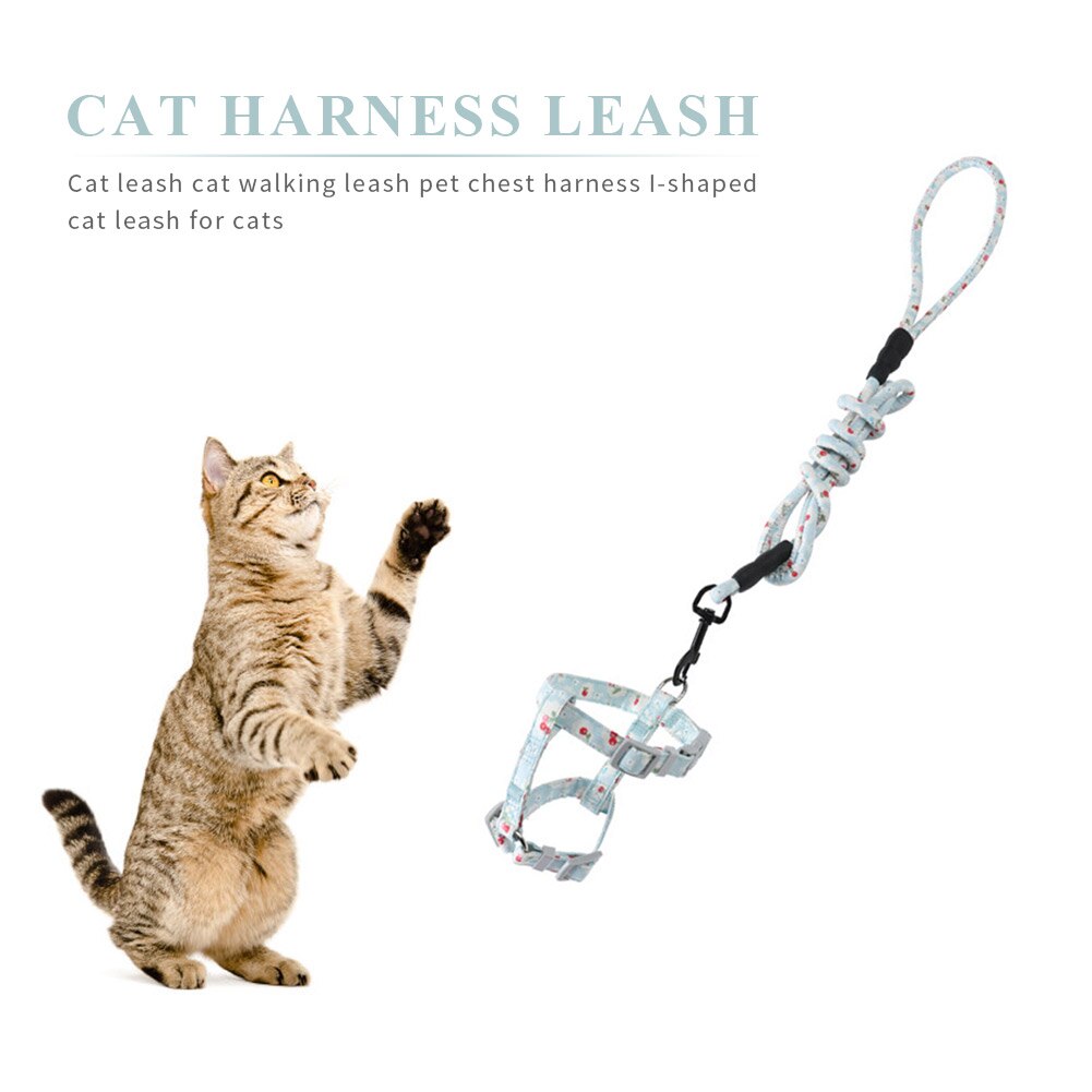 Harnais pour chat, laisse, ceinture, collier, sangle en forme de I, corde de guidage pour chiot, chaton, chiot, marche en plein air