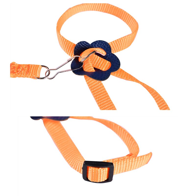 Ensemble harnais et laisse pour Hamster, réglable, pour la marche, pour petits animaux, Rat d&#39;inde, Chinchillas, corde, accessoires pour Hamster